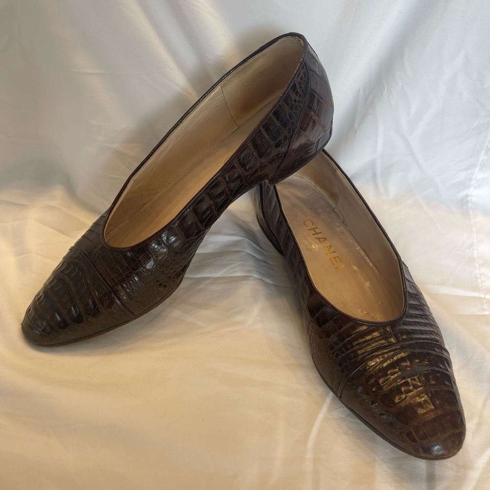Vintage alligator